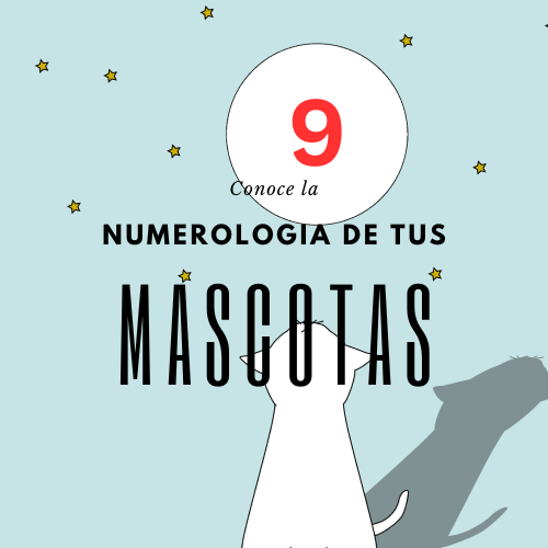 Numerología Luna Di Marco Numerología Mascotas